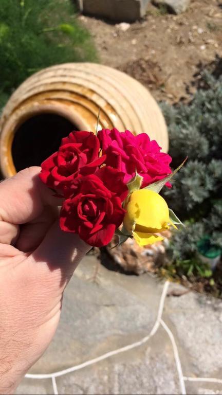 Rose Home Apollonia  Bagian luar foto